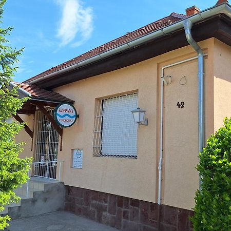Ferienwohnung Koppany Vendeghaz Adand Exterior foto